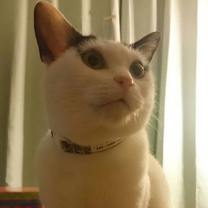 65c8108e 9ecb 4613 8ab1 6e16c7f15eb5