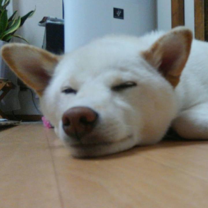 65c81d36 7643 427f b344 ffb719d452de