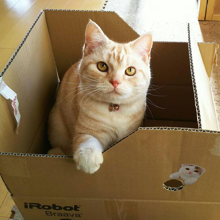 65c8c762 9dac 47be 8436 f3bd0c2d66ed