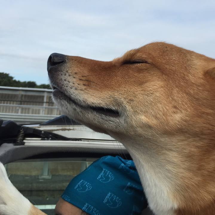 65c95909 f11f 4bd9 9dc2 e6499a460b01