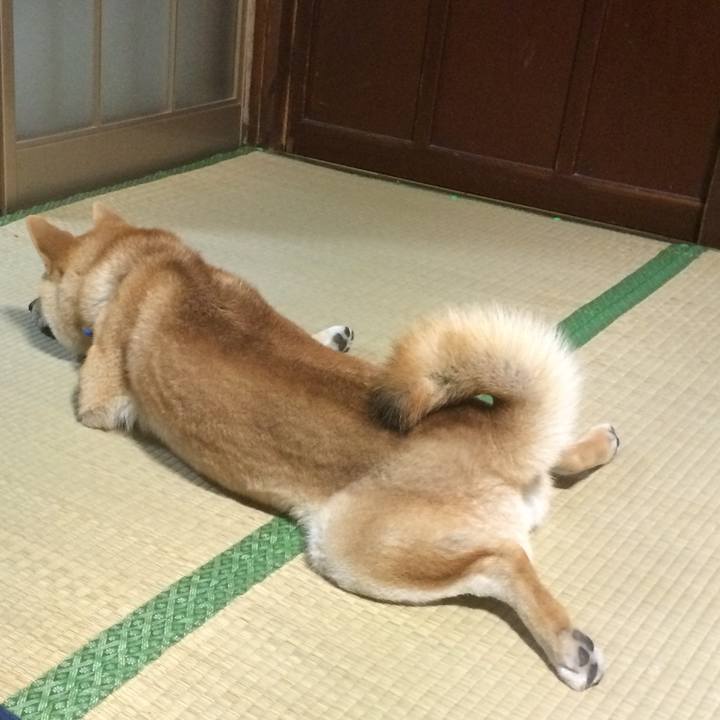 65c97616 d927 4a12 90a7 64872b349339