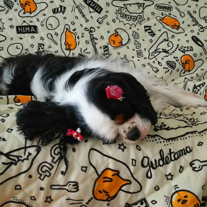 65c98904 df29 4e69 aae0 6043430eb020