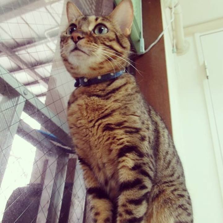 65caa4c6 15a5 4ffa a015 97c0bad912f7