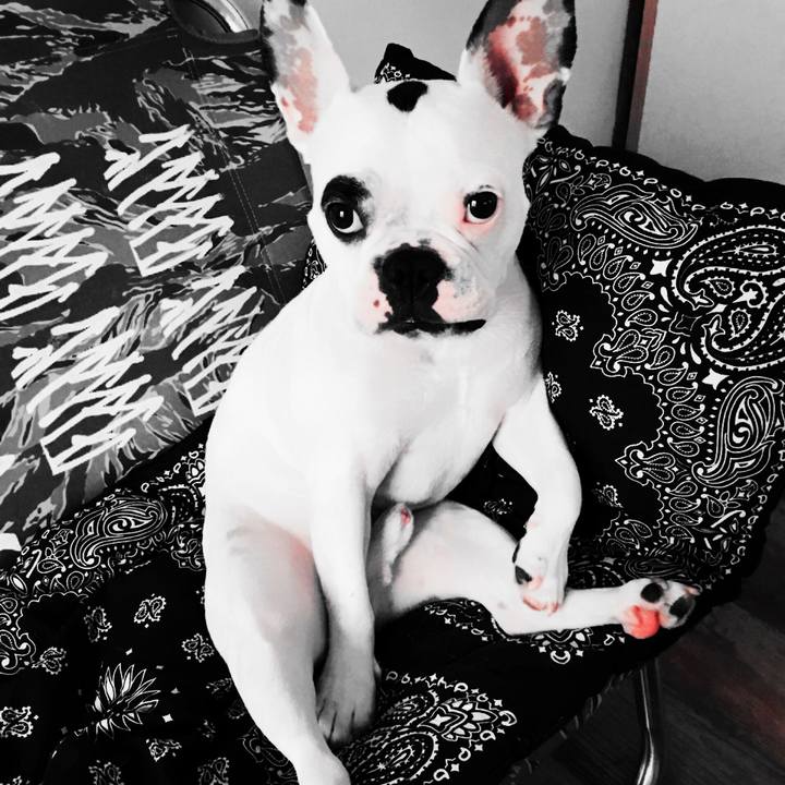 65cade3f b103 4f98 83d3 d24de446e58e