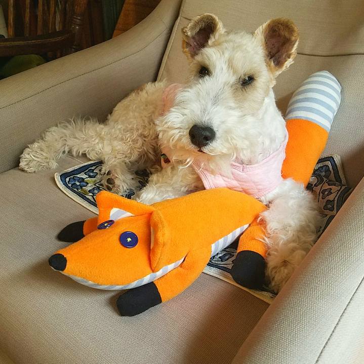 65cbd67d 0689 4361 9bb5 3f3cbb2db384