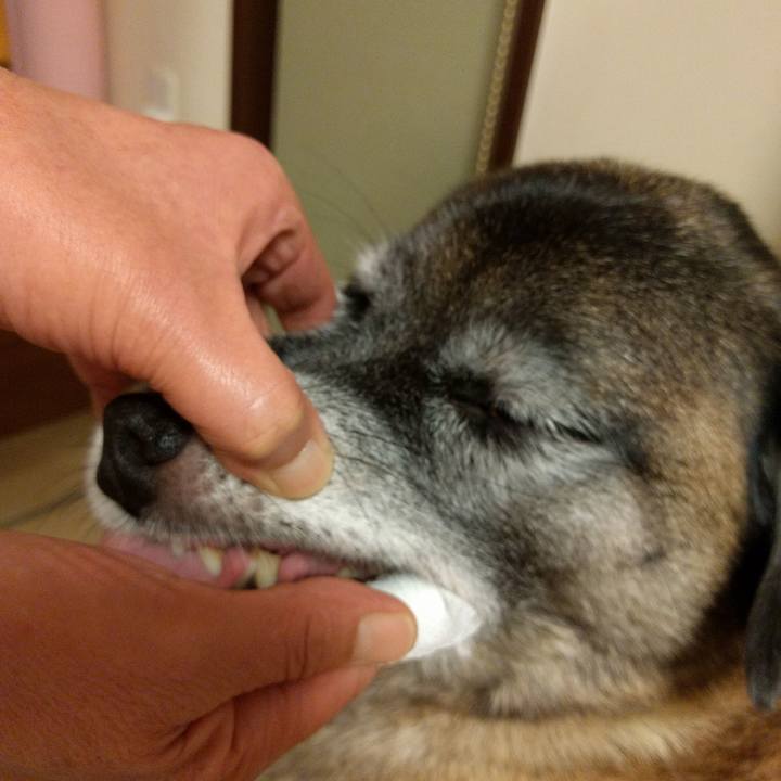 65cbda0b ceed 4734 89f2 136fe11f8bb2