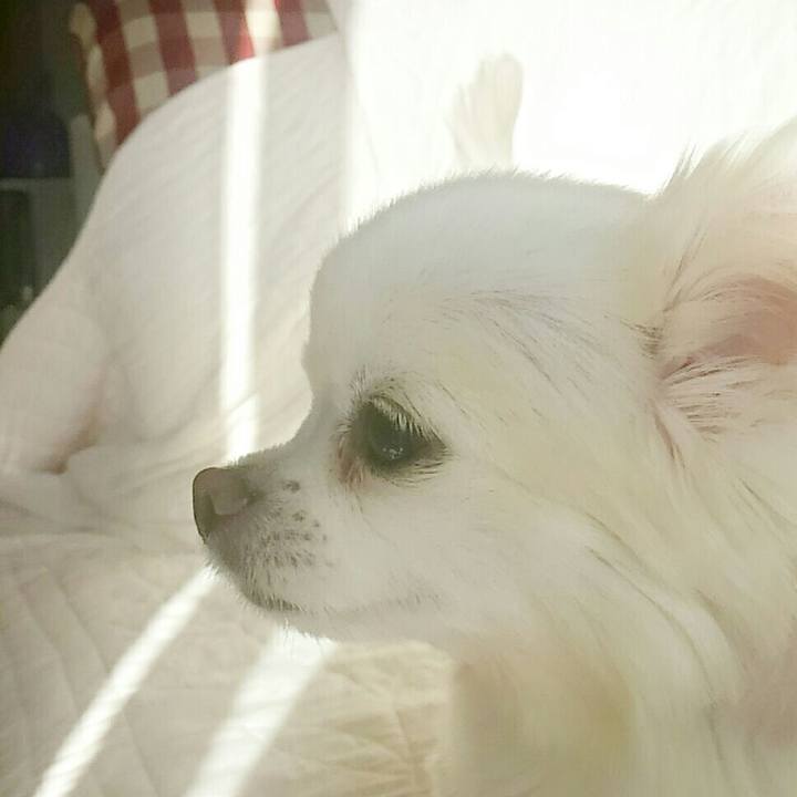 65cc0a07 f097 4a14 a43d 0dc54cda7f1f