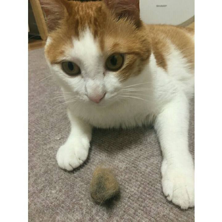 65cc2bce 4778 47c8 a1a0 2fe4e0f78db7