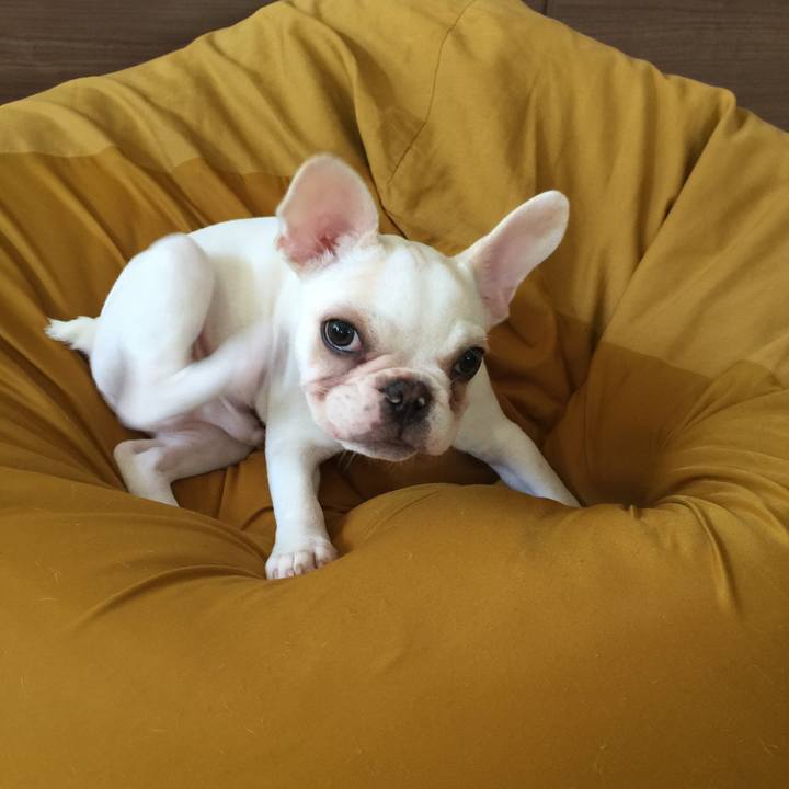 65cc4d13 ca29 40f3 81b9 f00ab73a5eb1