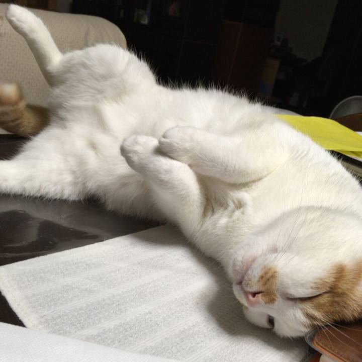 65cd12f6 4428 4378 98ee 56c879ed0150