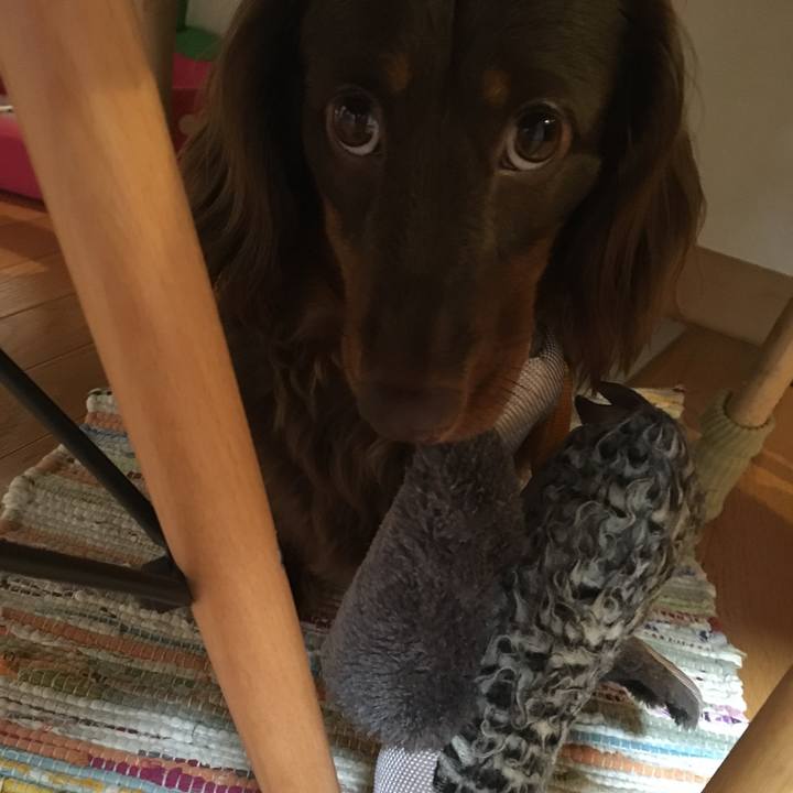 65cd14ef 8dcf 4f93 93fa 59bb609418c8