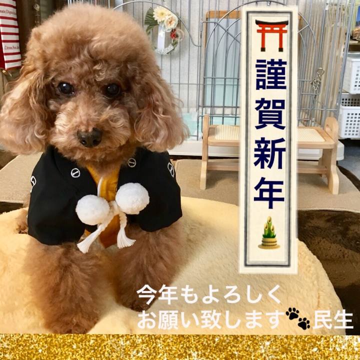 65cd4653 c3d1 4baf bfd3 daea57590268