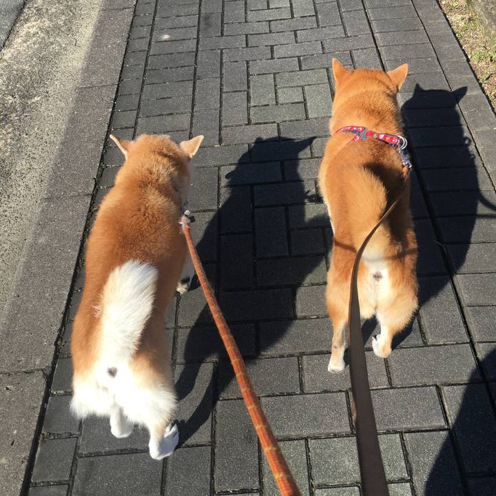 65cd77f0 1a15 4b8a 9bfa 3d57c7a722d5