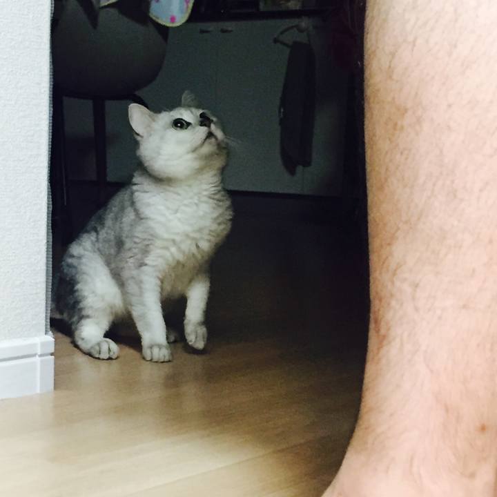 65cdaf41 8034 4b71 a8c4 054948a69eda