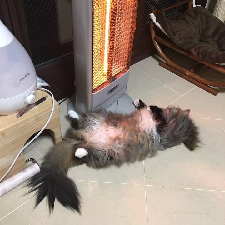 65cdb33e 625e 498c b2c0 00a77e485acd