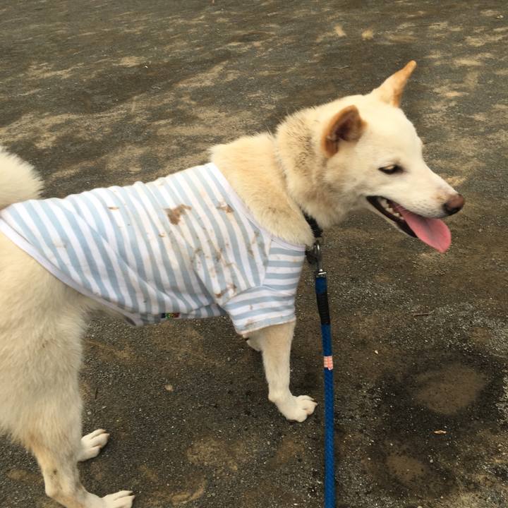 65ce1bd2 75fb 46dc 95ba 2c821c24ee9a