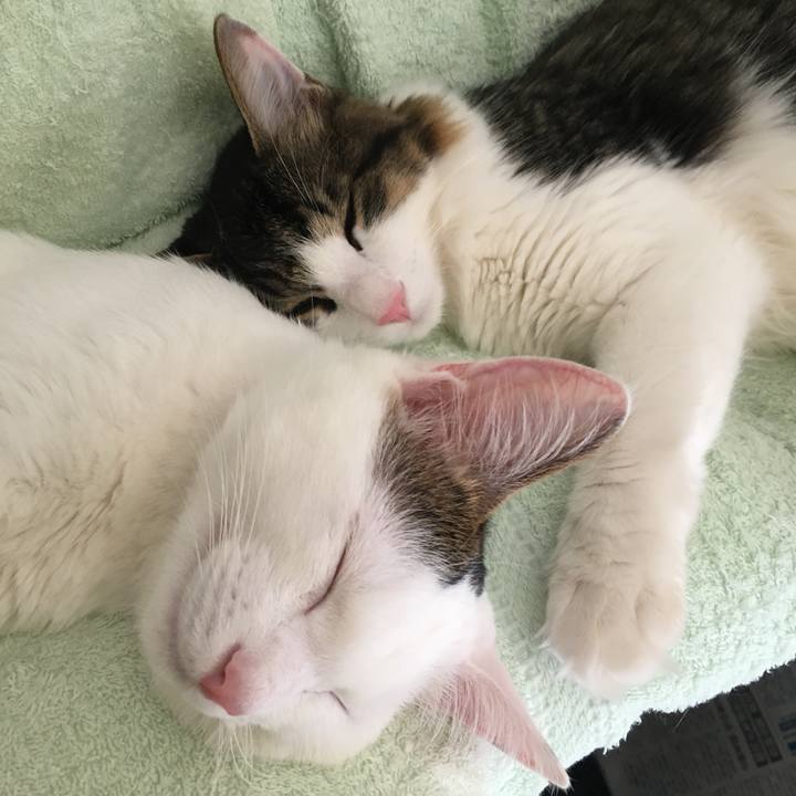 65cf35a3 46ef 4c2e 810e e1c831135854