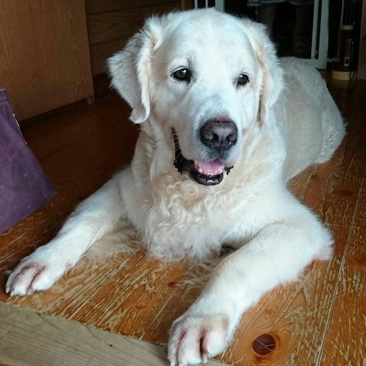 65cf3ff0 4867 44f9 acd7 4aff00e341f8