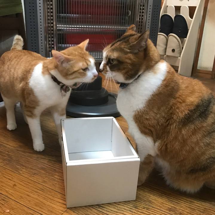 65cfbbbe 2546 406b 9989 72c7d66485f9