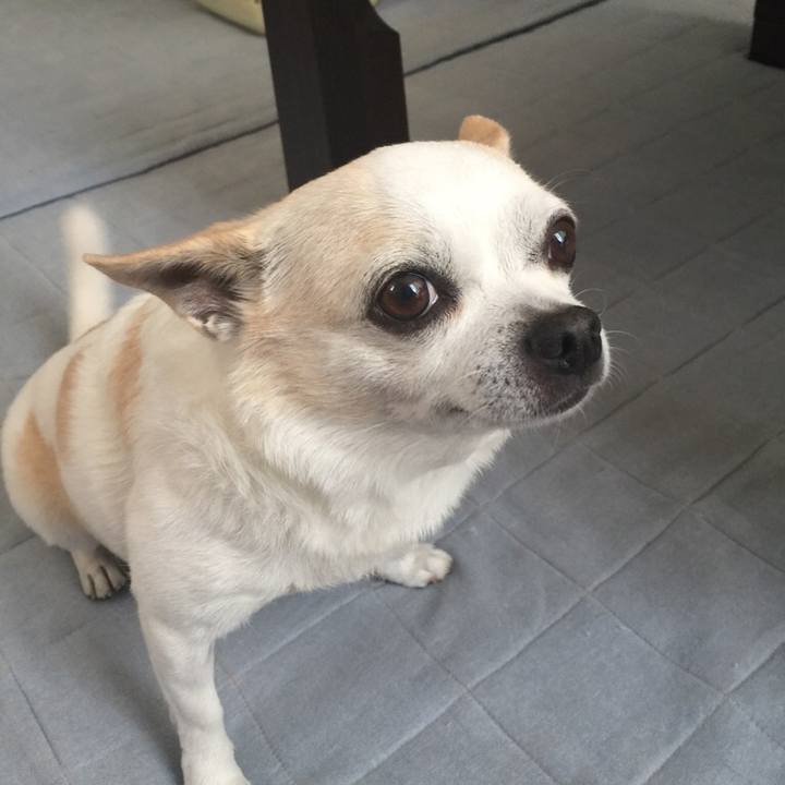 65cfbd7a eedc 4716 95b9 b3a9134b6069