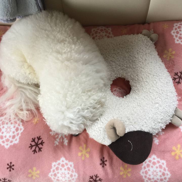 65cfd17c c601 49f5 9ac5 d35fbf049a5c