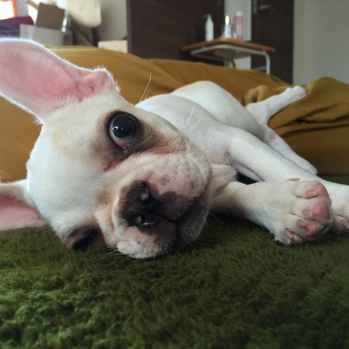 65d0a650 d63c 44c7 aa6e 4e3ee3c2de87