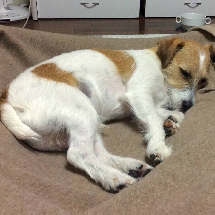 65d0b562 3c52 401b aac3 26c988986c96