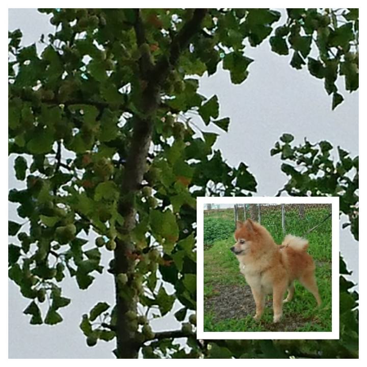 65d105ab 9a17 48f8 89ed 5d5e128d1194