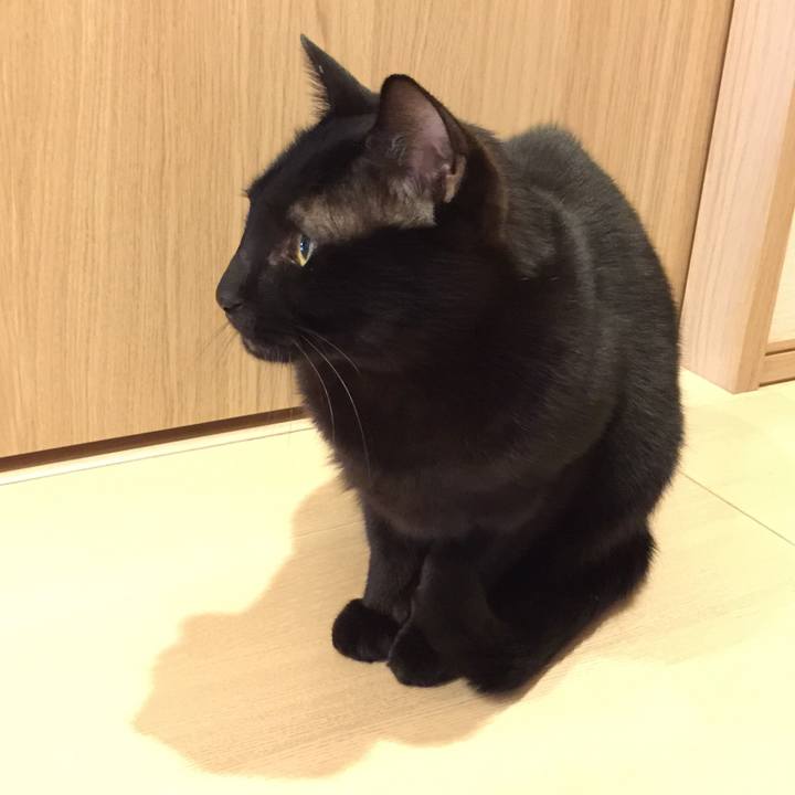 65d133f2 7f6f 4448 8310 64c46399213a