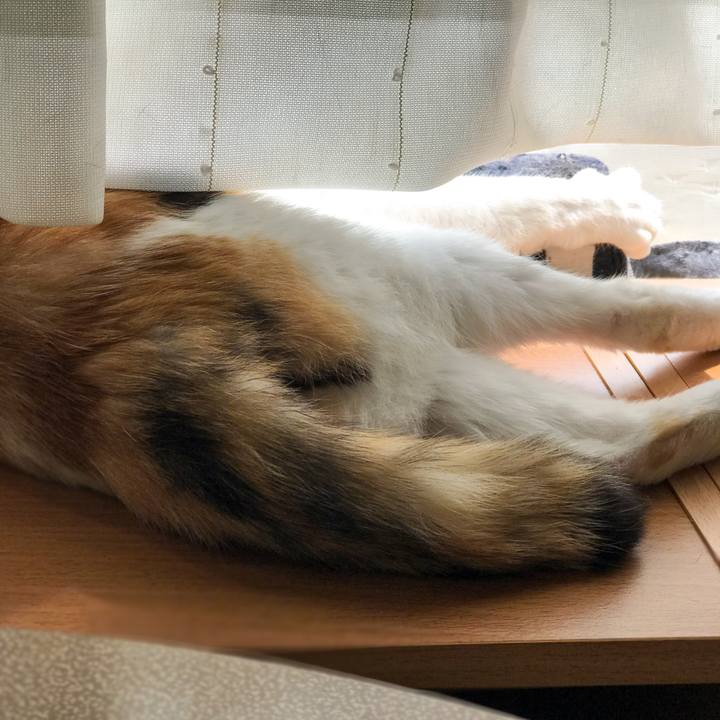 65d1b118 4197 4270 a226 b9fb7b3f0d27