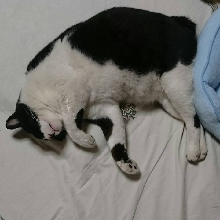 65d1f3ab 3499 4429 a97f 2003dd4b6bda