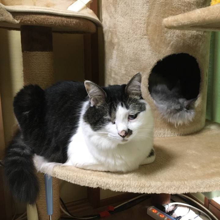 65d35709 70be 40c2 b361 8b8ab78272c9