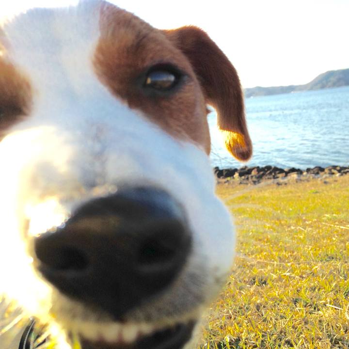 65d393c6 e0fd 4ab1 83d0 9c78900cf76c