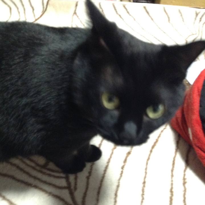 65d3d5d5 619b 4c2e ab38 949167da0ae7