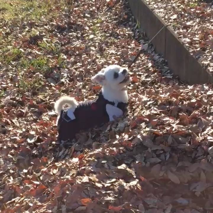 65d3f018 af0a 4568 bfee 226d97a4a9ab