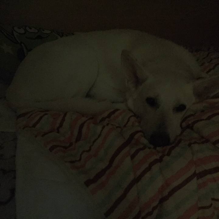 65d443eb f528 4e36 9272 78effaeb92f7