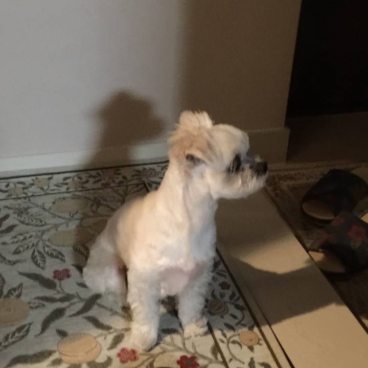 65d4d166 f48f 4ffe 9c23 a48796ebf53b