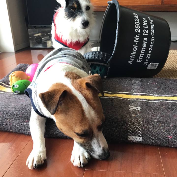 65d516a6 0913 4a98 ae7f d53164537583