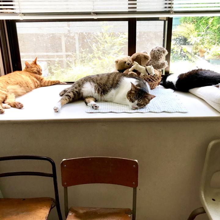 65d52790 781f 41cb 8d6e a2f896e9e97c