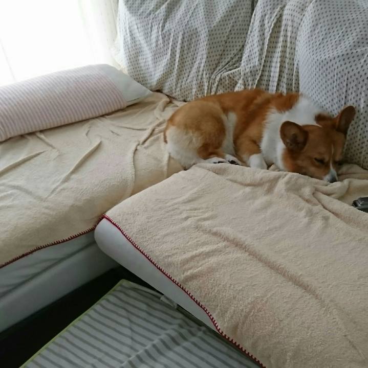 65d5cb6a 9ce9 407e 8516 7e223f1b44e9