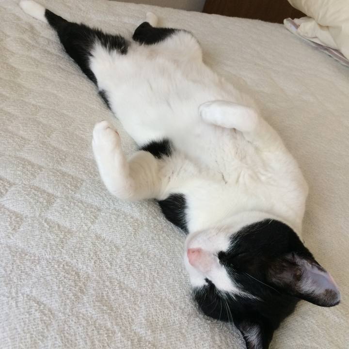 65d6b75d 560a 4dc5 a75b 4cbc23438def