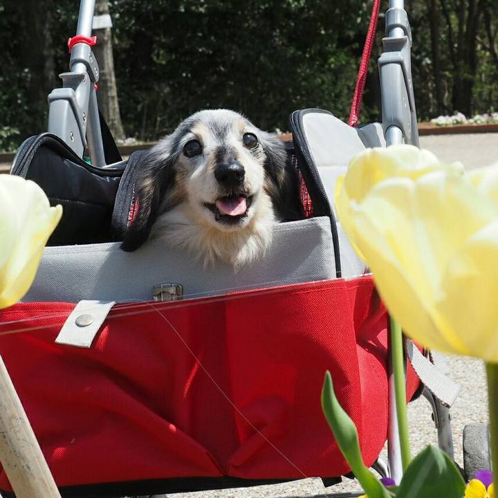 65d78efa 7d0f 4453 98b3 1551b3b06766