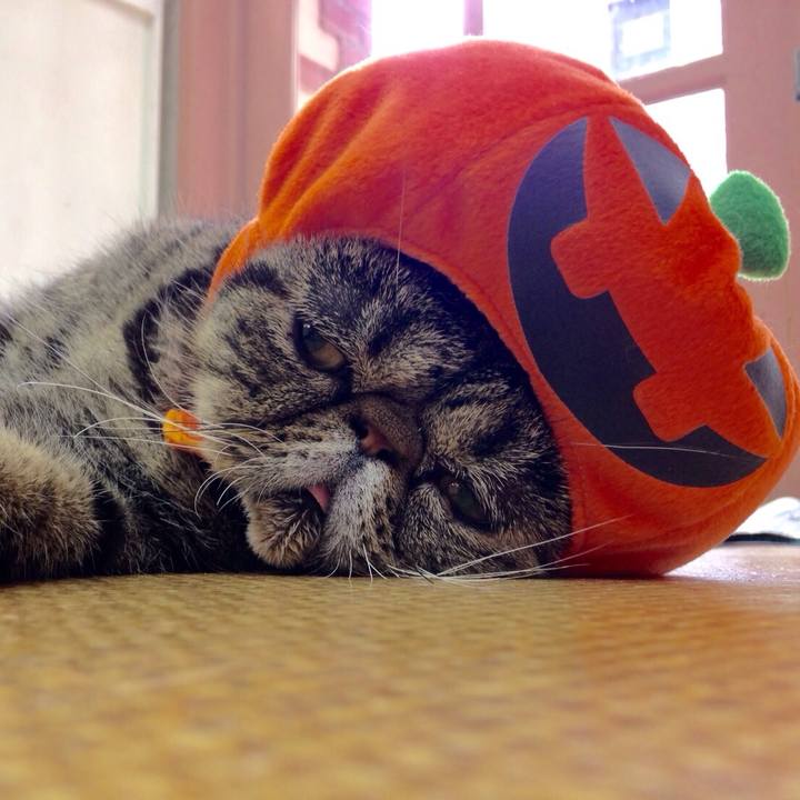 65d8502e 7c1d 4a9e 8349 6b37e68d62be