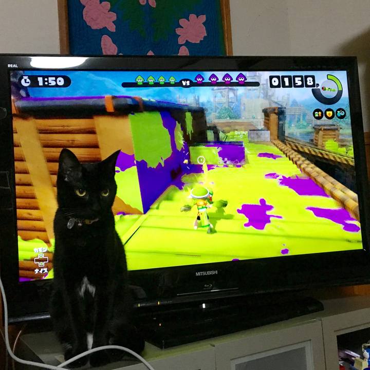 65d8f3d0 cb40 4819 8d07 9372a855e22c