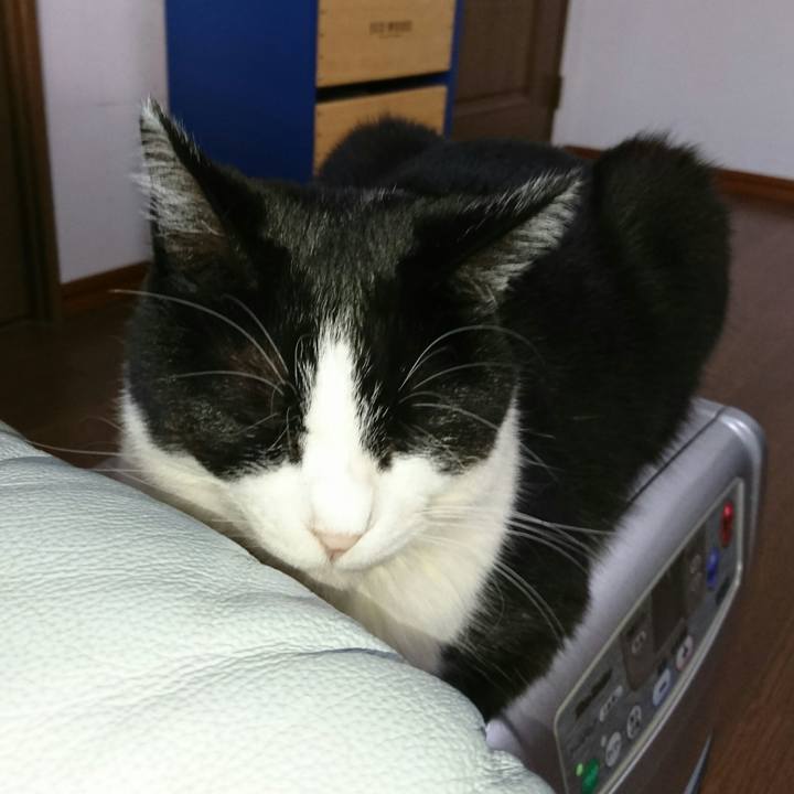 65d9ce13 dbed 4064 9358 cf79eccd70bf