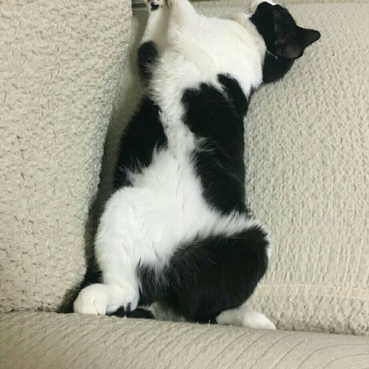 65d9fb71 b502 4272 b584 7b705830ecb5