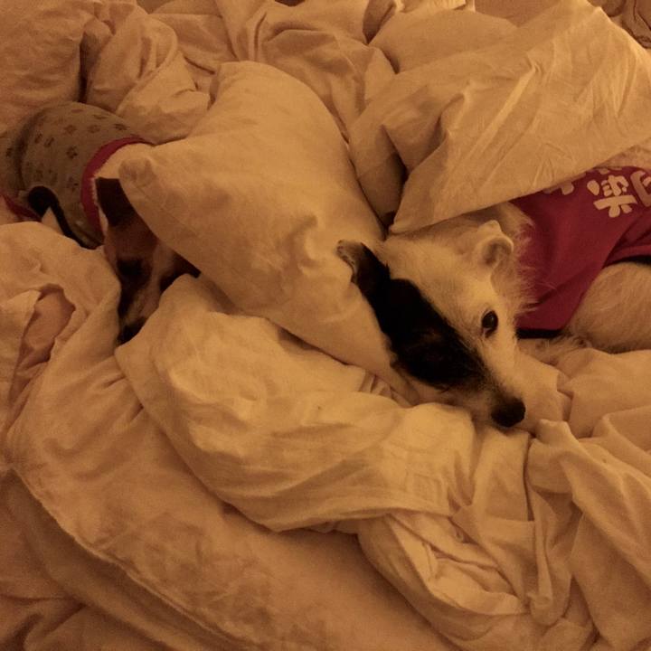 65db70c6 dd9e 4efe a3b6 9b9c65520468