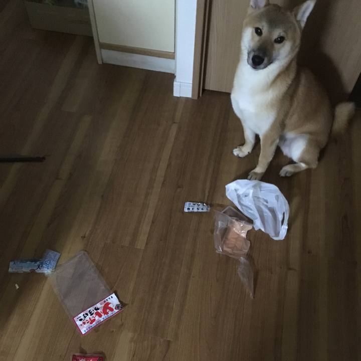 65db71b1 1141 48f3 836f 1fb6592b3ff7