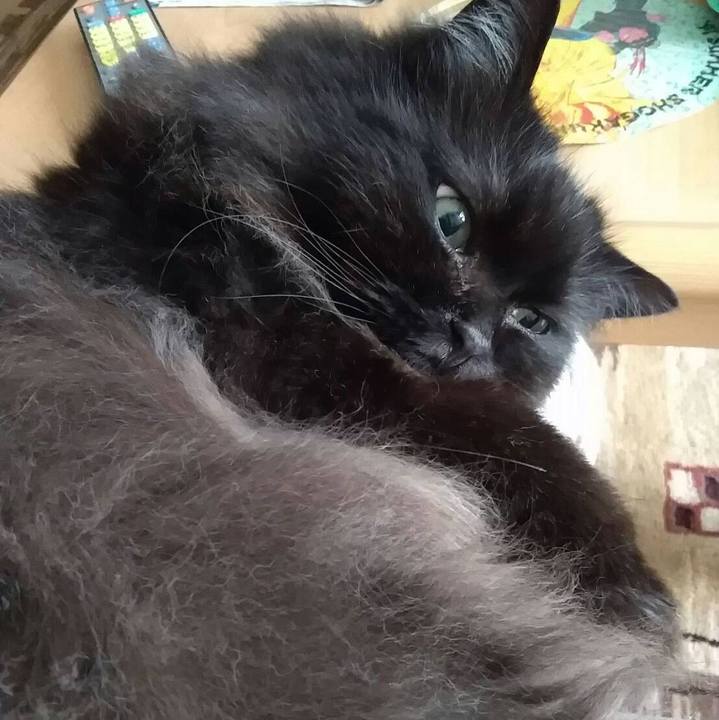 65db83de 3537 469c 9e44 ba7a7923642c