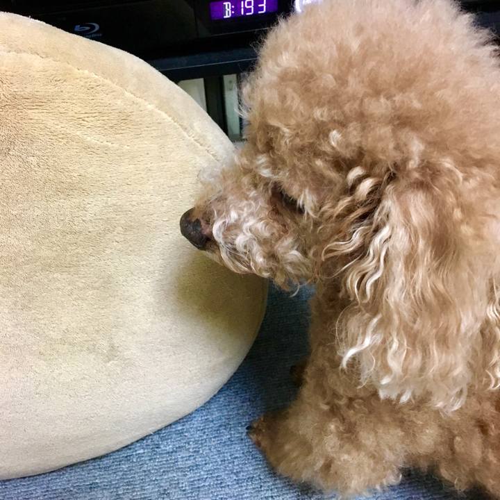 65dbc959 d9f5 4ad1 9883 2e04187d9beb